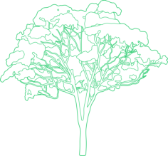 Plants Eucalyptus Contour Svg Vector, Free Vectors File